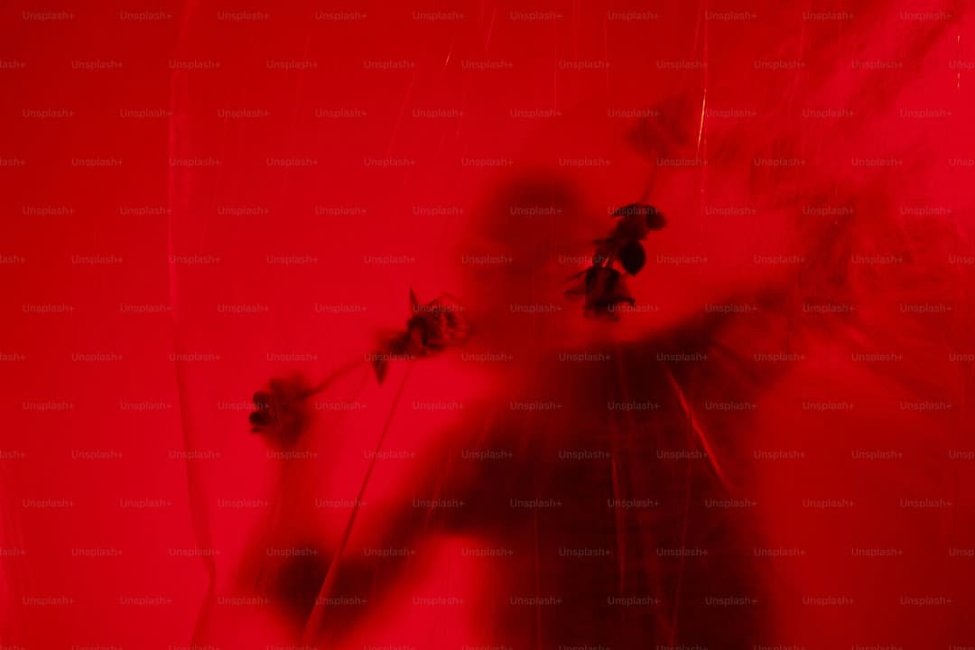 21岁欧美“国民闺女”，有孩子了！